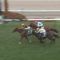 【競馬】札幌2歳ステークスレベル低すぎワロタｗｗｗｗｗｗｗｗｗｗ