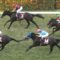 【競馬/神戸新聞杯】武豊ダンビュライトまた４着ｗｗｗｗｗｗｗ