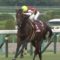 【競馬】菊花賞を使わないレイデオロはなぜ関西にわざわざ遠征したのか？