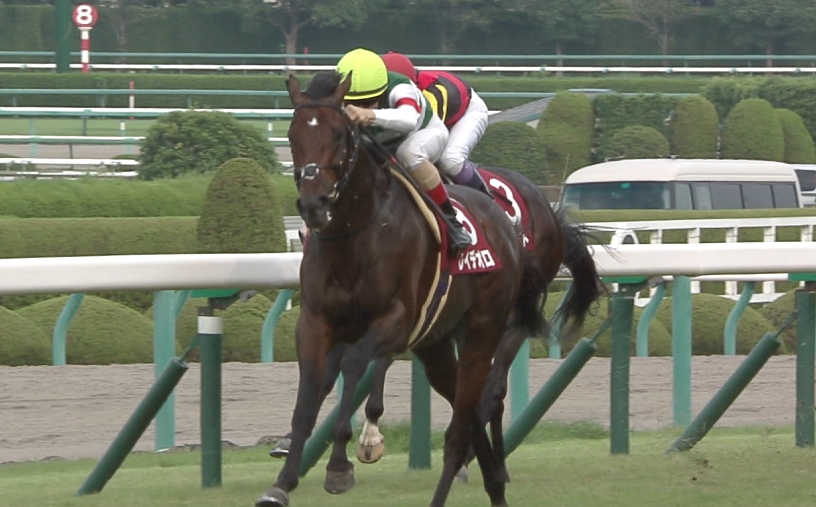 【競馬】レイデオロの強さってドゥラメンテレベル？