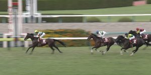【競馬/神戸新聞杯】レイデオロ強すぎ