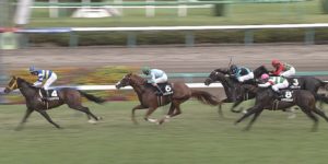 【競馬/2歳OP・芙蓉S】戸崎圭太さん、トゥザフロンティアを飛ばす