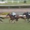 【競馬/2歳OP・芙蓉S】戸崎圭太さん、トゥザフロンティアを飛ばす