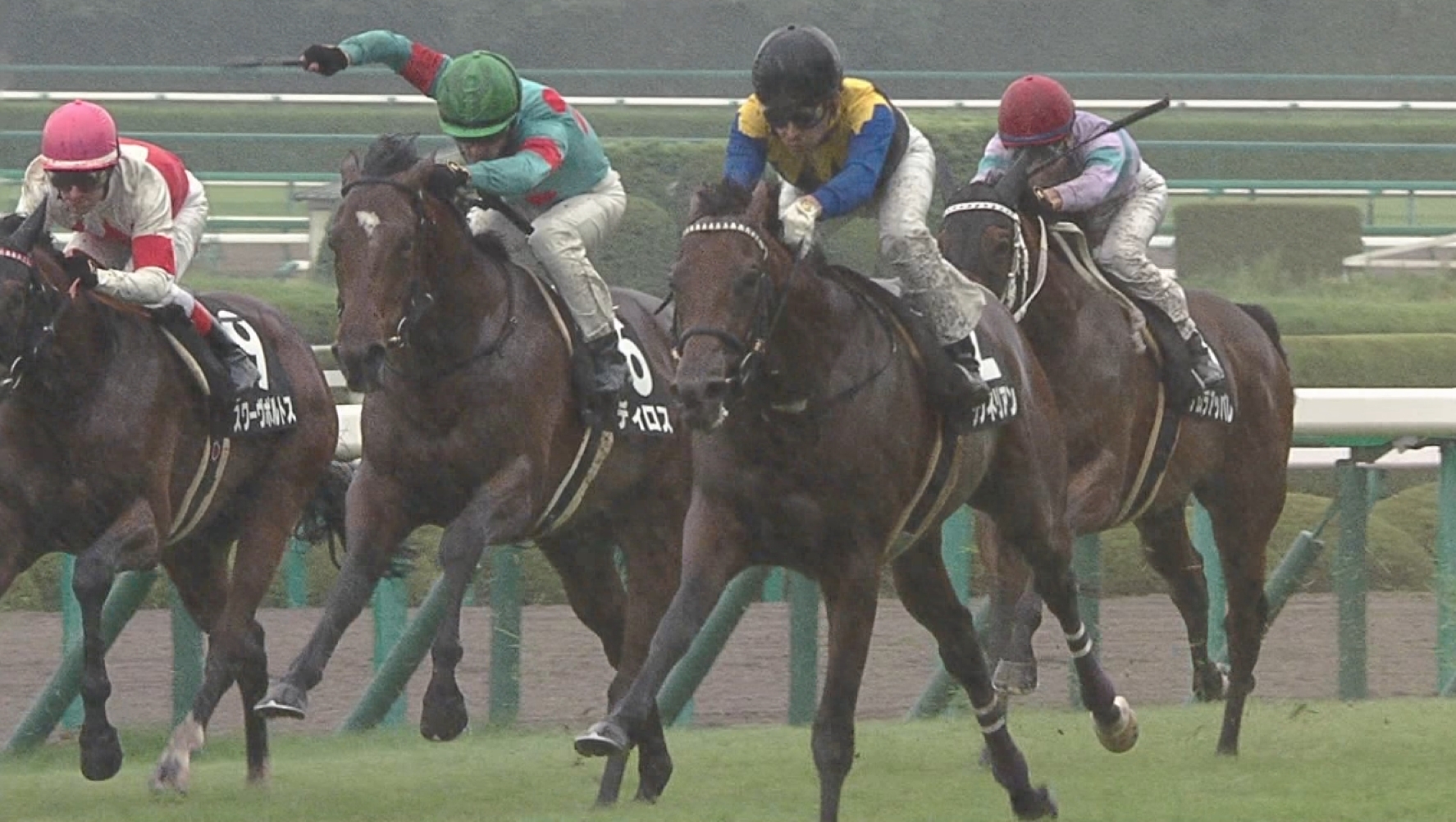 【競馬】来春、ワグネリアンはダノンプレミアムに勝てるのか？