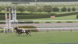 【競馬/阪神3R】ディープ産駒マイスターシャーレvsオルフェ産駒ムーンレイカーの一騎打ち！後続7馬身突き放す