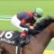【競馬】全日本2歳優駿ルヴァンスレーヴ補欠から繰り上がり選出。JRA勢過去最高のメンバーが揃う
