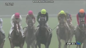 【競馬】グレイル 次走は共同通信杯。オブセッションと激突か 【競馬】グレイル 次走は共同通信杯。オブセッションと激突か