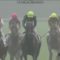 【競馬】グレイル 次走は共同通信杯。オブセッションと激突か