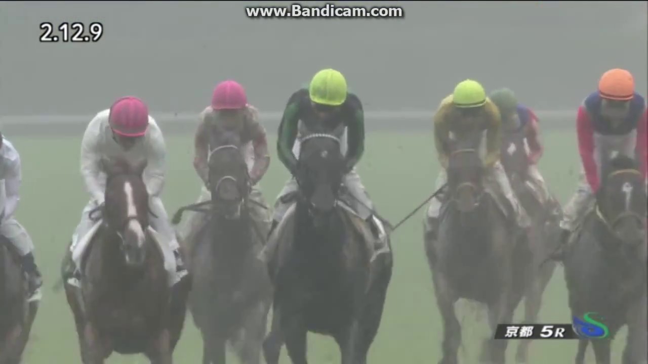 【競馬】グレイル 次走は共同通信杯。オブセッションと激突か