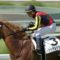 【競馬/2歳新馬】ソシアルクラブの勝ち方がコロナシオンにそっくりだった件【母ブエナビスタ】