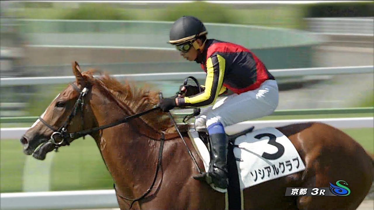 【競馬】ブエナビスタの娘タンタラス勝利！