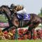 【競馬/天皇賞秋】キタサンブラック、春秋制覇の偉業なるか