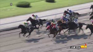 【競馬/秋華賞】初芝のダート馬が秋華賞に出るんだがプロヴィナージュのように叩かないのか？