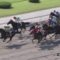【競馬/秋華賞】初芝のダート馬が秋華賞に出るんだがプロヴィナージュのように叩かないのか？