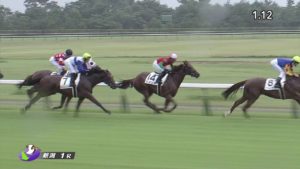 【競馬】プラタナス賞、ダートの怪物ロードトレジャーのオッズが美味しすぎる!!!!! 【競馬】プラタナス賞、ダートの怪物ロードトレジャーのオッズが美味しすぎる!!!!!