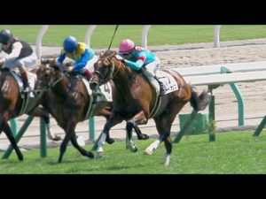 【競馬】ルーカス四天王がガチで強すぎる件