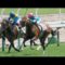 【競馬】ルーカス四天王がガチで強すぎる件