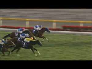 【競馬】悲報・・ダイワスカーレットさんｗｗｗｗｗｗｗｗｗ