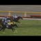 【競馬】ウオッカとダイワスカーレットの天皇賞秋を何度見ても