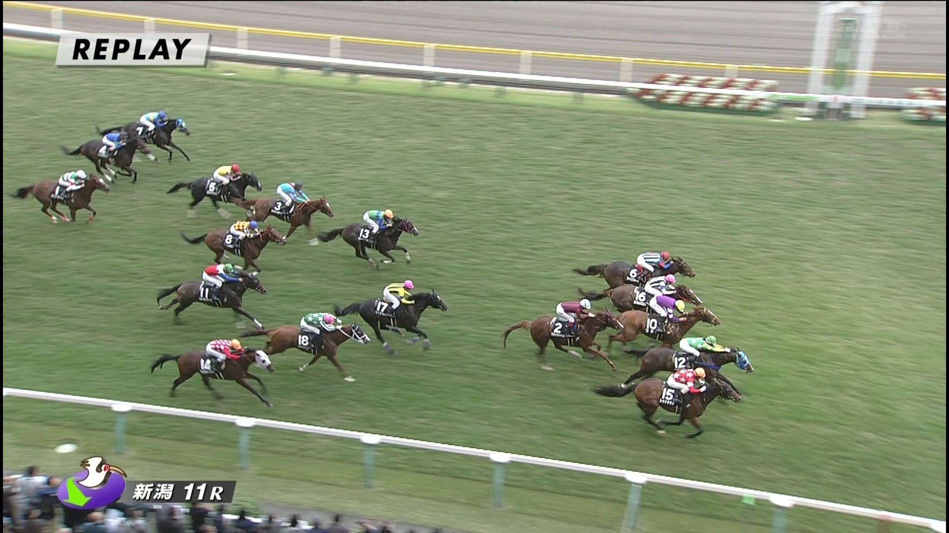 【競馬】藤田菜七子メインレース初勝利！10番人気のベルモントラハイナで神騎乗炸裂！！