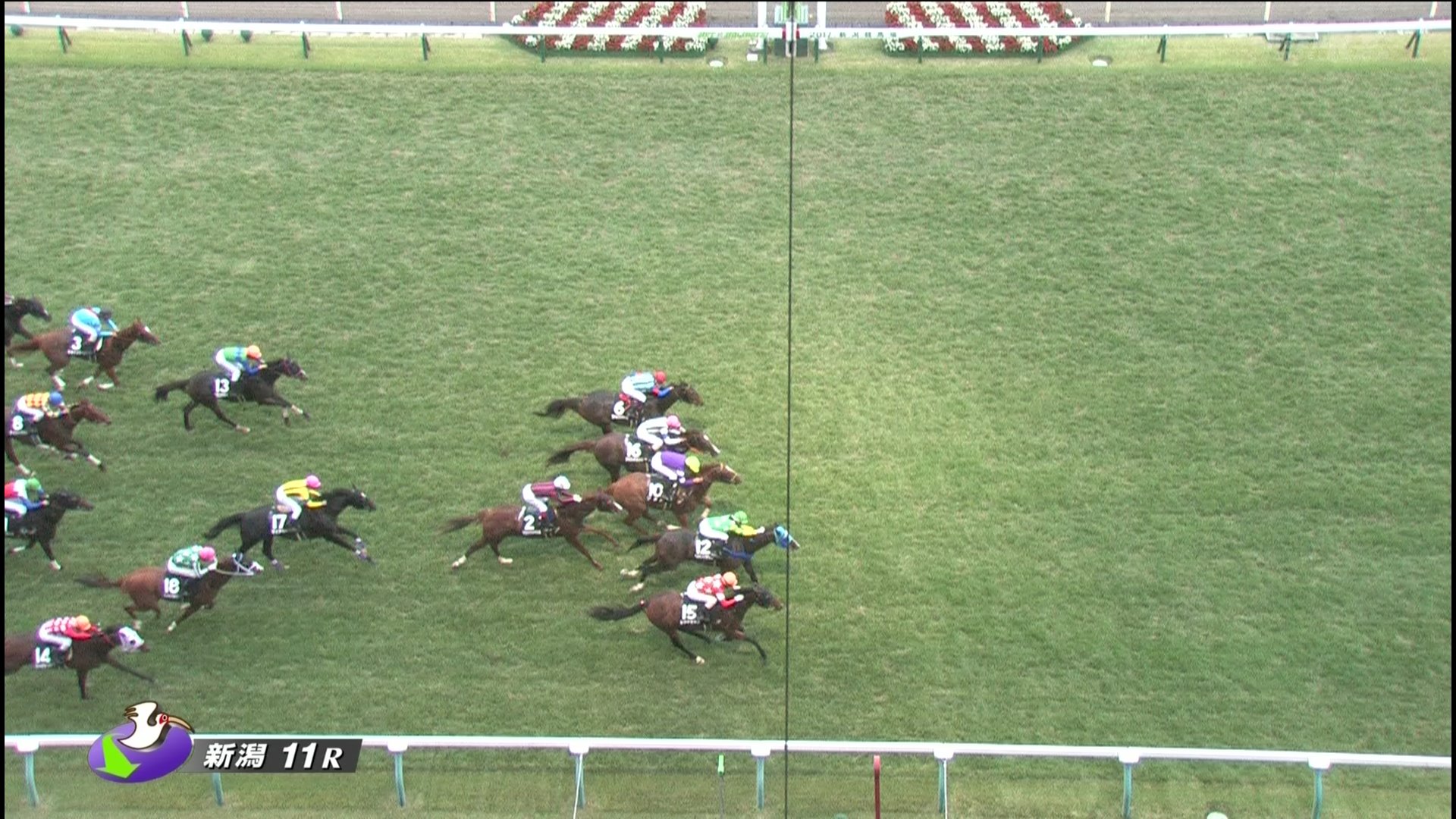 【競馬】藤田菜七子メインレース初勝利！10番人気のベルモントラハイナで神騎乗炸裂！！