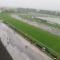 【競馬】菊花賞なのに京都競馬場がガラガラ誰も来ない