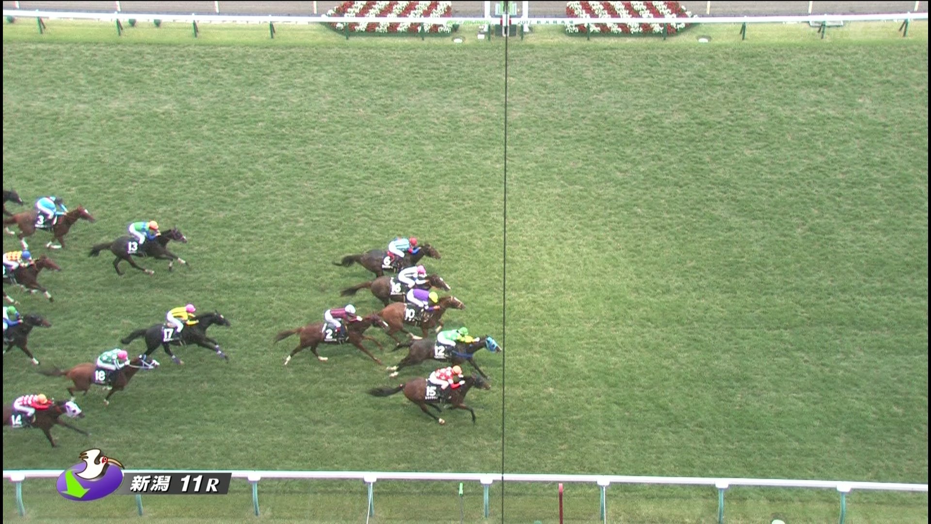 【競馬】藤田菜七子メインレース初勝利！10番人気のベルモントラハイナで神騎乗炸裂！！
