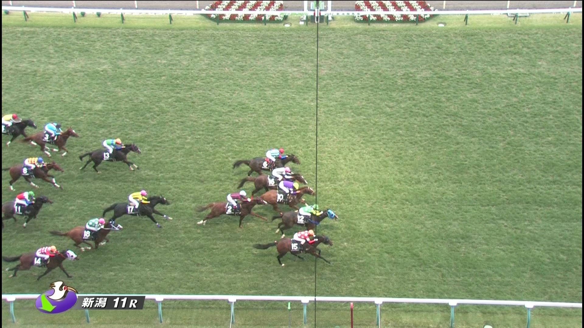 【競馬】藤田菜七子メインレース初勝利！10番人気のベルモントラハイナで神騎乗炸裂！！