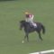 【競馬】ディアドラ弱すぎワロタｗｗｗｗｗｗｗｗ【プリンスオブウェールズS・6着】