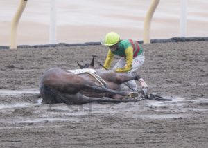 【競馬】心房細胞で倒れてしまった馬に寄り添う菜七子ちゃんが優し過ぎると話題に