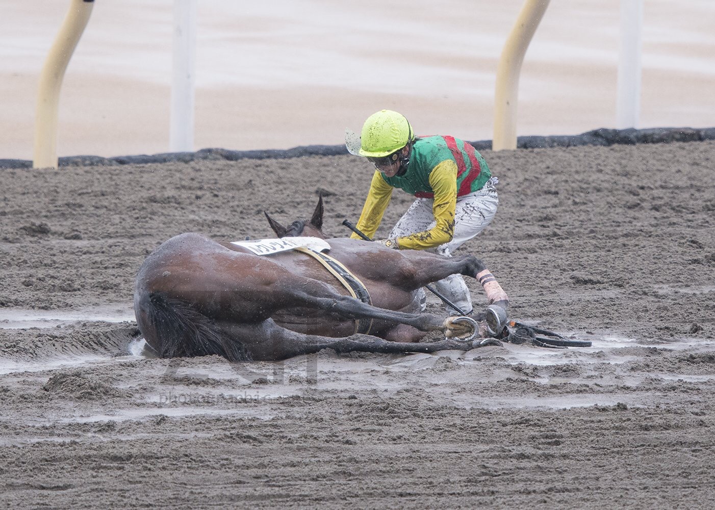 【競馬】心房細胞で倒れてしまった馬に寄り添う菜七子ちゃんが優し過ぎると話題に