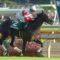 【競馬/朝日杯FS】朝日杯にディープ2歳四天王が登場