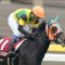 【競馬/府中牝馬S】福永、ヴィブロスの進路を閉める