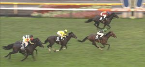 【競馬/2歳アイビーS】タニノフランケルとは何だったのか