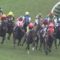【競馬/府中牝馬S】戸崎はアドマイヤリードから降りろ