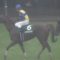 【競馬/マイルCS】エアスピネルにムーア騎乗決まったぞ！歓喜！