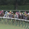 【競馬/スプリンターズS】シュウジですらポツンさせてしまうノリの恐ろしさ