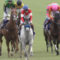【競馬】レッドファルクス、Ｍ・デムーロと再コンビで史上初のスプリンターズＳ３連覇に挑戦