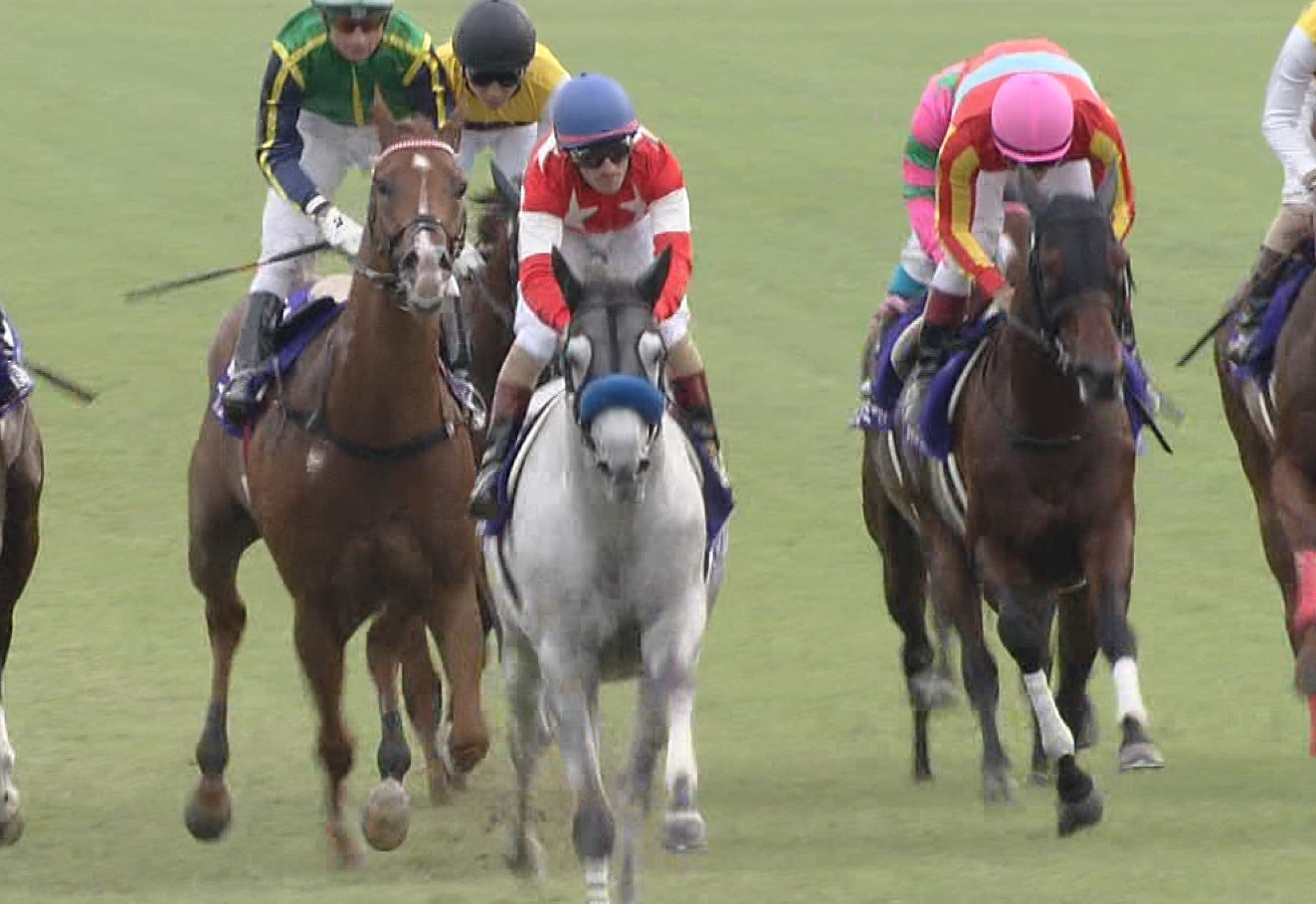 【競馬】東サラの2018年募集馬のラインアップ豪華すぎワロタｗｗｗｗｗ