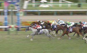 【競馬】デムーロ騎乗停止でレッドファルクス戸崎圭太ｗｗｗｗｗｗｗｗｗｗｗ