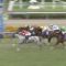 【競馬】スプリンターズSって12月第3週の頃の方が良かったよな