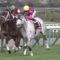 【競馬】ホワイトマズルということかいう種牡馬