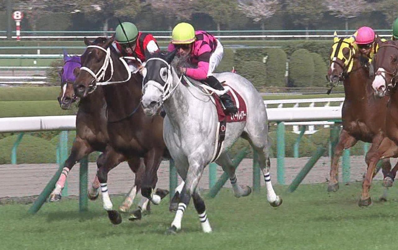 【競馬/宝塚記念】スマートレイアー新コンビの松山も好感触