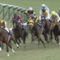 【競馬】武豊「逃げるつもりはなかった。いい手応えで直線向いたが行き場がなかった」