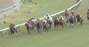 【競馬/スプリンターズS】ビッグアーサー絶好の手応えなのに福永追えなさすぎwwwwwwwww 【競馬/スプリンターズS】ビッグアーサー絶好の手応えなのに福永追えなさすぎwwwwwwwww