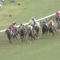 【競馬/スプリンターズS】ビッグアーサーの手応えにびびった奴