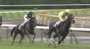 【競馬】フラットレーとかいうマラソン駄馬が未だに人気吸っててワロタ 【競馬】フラットレーとかいうマラソン駄馬が未だに人気吸っててワロタ