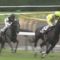 【競馬/2歳アイビーS】タニノフランケル福永とフラットレー仏永ｗｗｗｗｗ