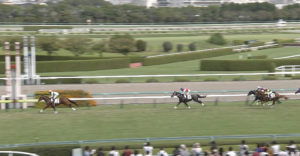 【競馬】ヘンリーバローズ「体調が整わないので春は休みます」