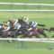 【競馬/毎日王冠】内田「マカヒキ行けえええ！！」マカヒキ「よし！」内田「マカヒキ行くなあああ！！」マカヒキ「！？」